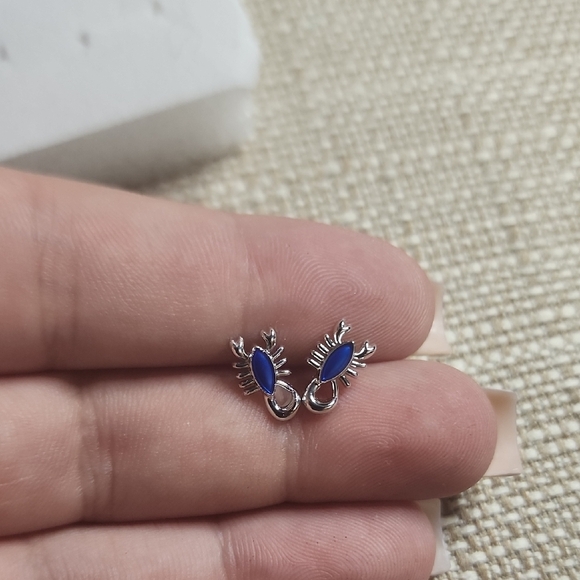 Elegant Blue Silver Earrings - Picture 1 of 2